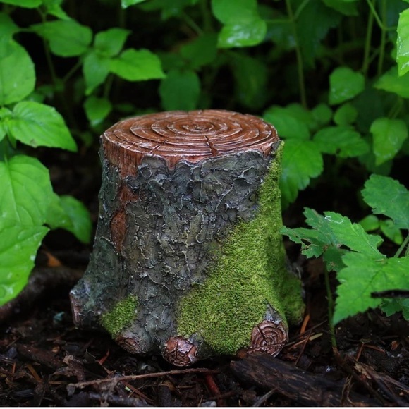 Top Collection | Toys | Miniature Fairy Garden Terrarium Decorative ...